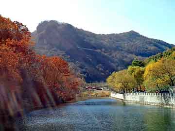 管家婆黑白马报图库，黑基论坛